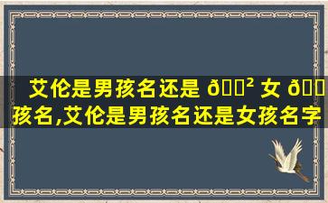 艾伦是男孩名还是 🌲 女 🐅 孩名,艾伦是男孩名还是女孩名字